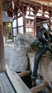 沙沙貴神社の龍の蛇口