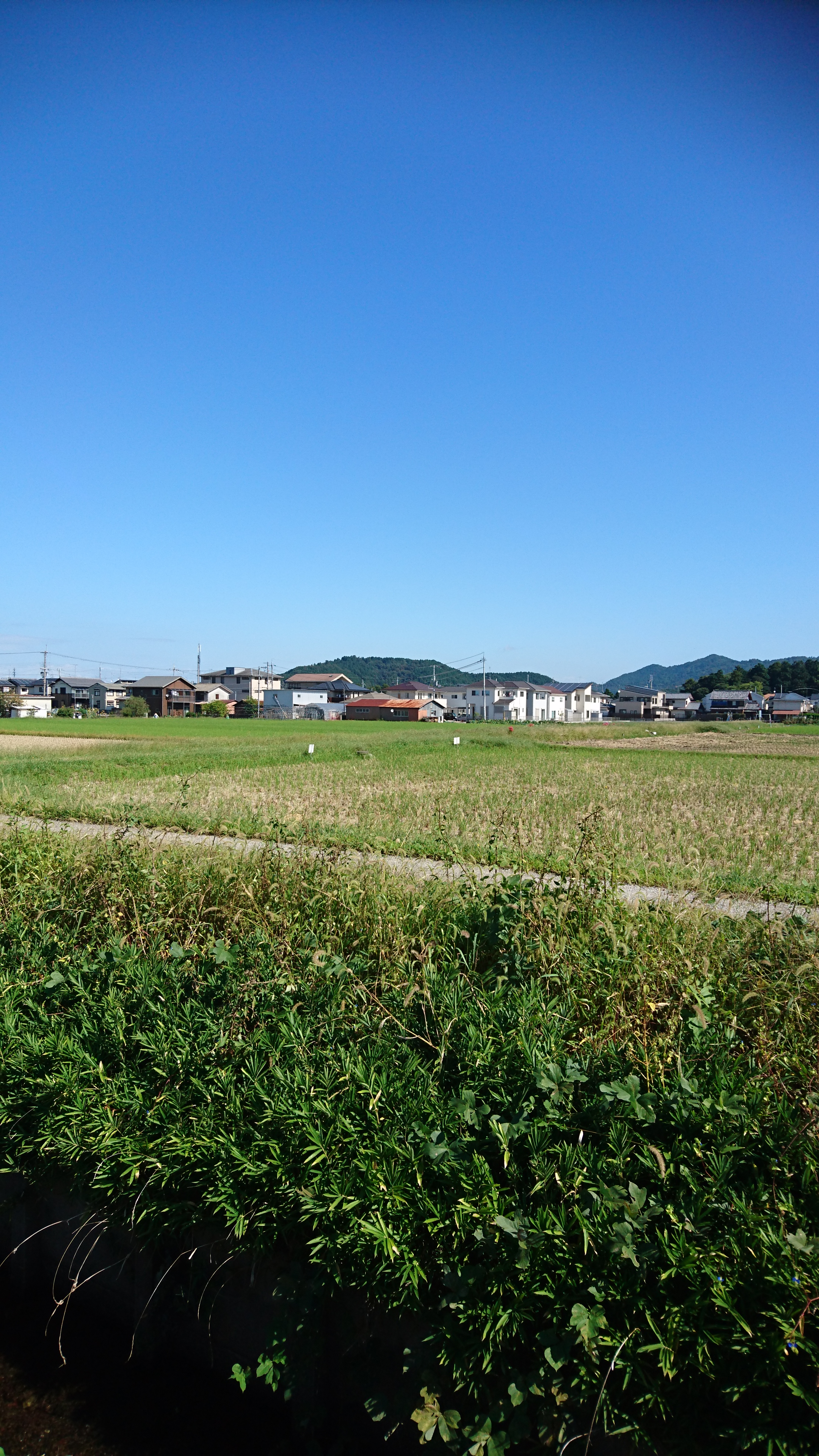 「デザイン墓？洋墓？なんでもしまっせ～！！浄厳院東霊園！！　据え付け編！！　」