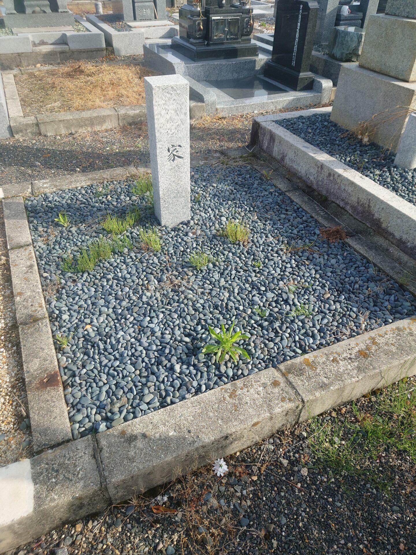 「お盆ですね!墓石建立記事 1/2 近江八幡市安土町 浄厳院!」