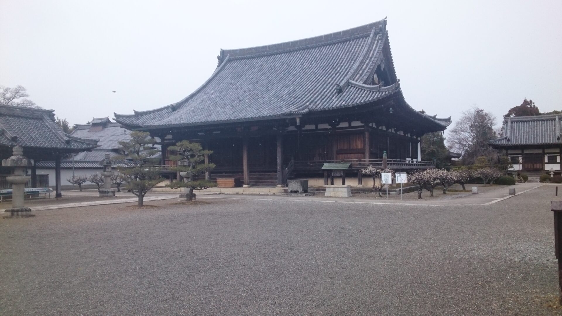 「お盆の墓参りに行って来ました。安土町　浄厳院！」