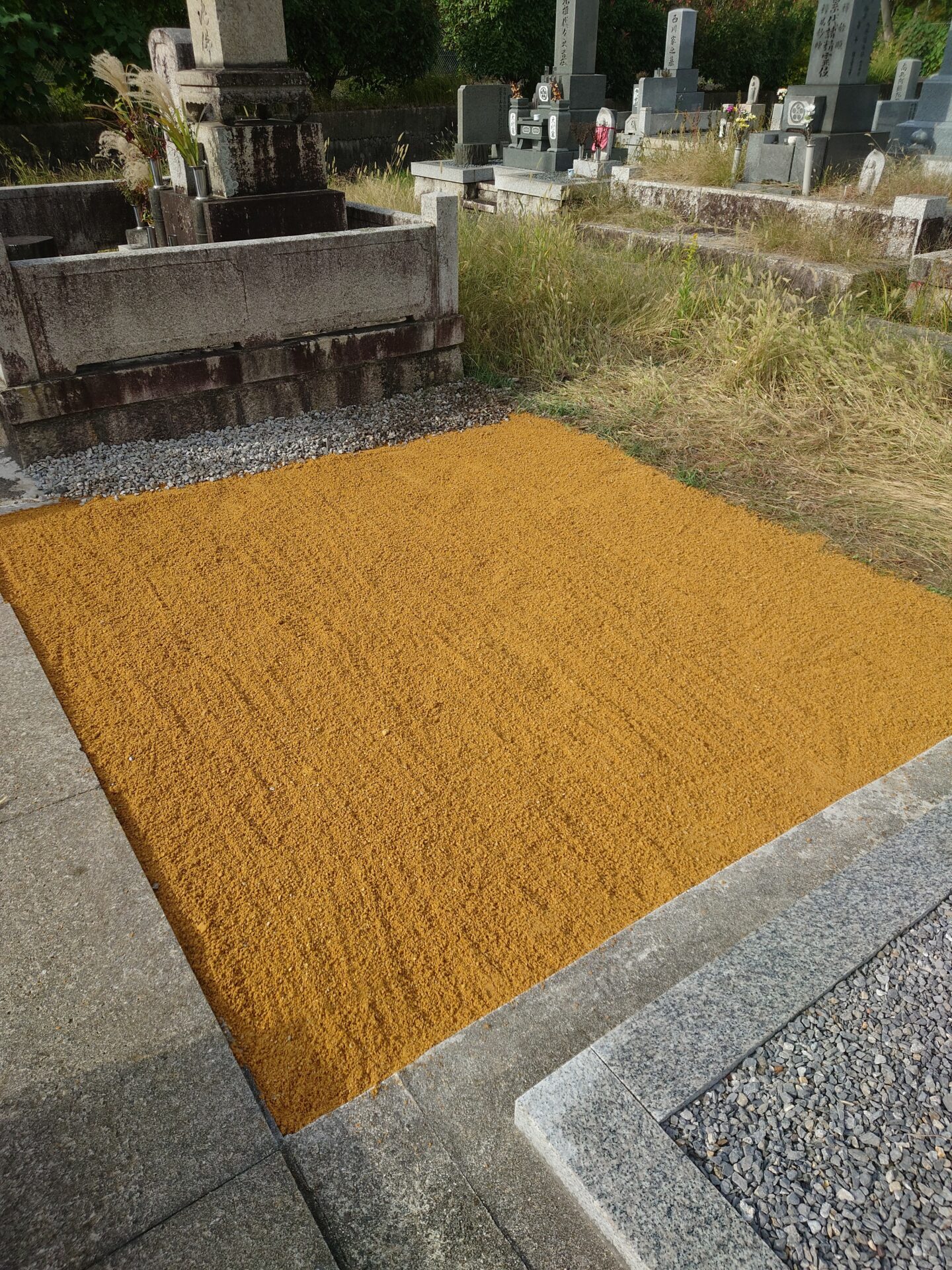 「めちゃくちゃ増えていている墓じまい!」