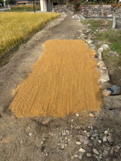 「墓じまいに行って来ました！」