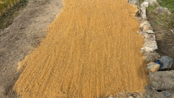 「墓じまいに行って来ました！」