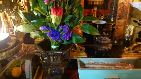 「高市早苗さんが総理大臣になって思い出した事！」