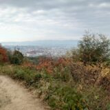 「伏見稲荷大社に、月参り！」