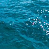 「納骨をどこでするか？ いろんな方法がありますが、いったいどれが...