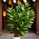 「神式の葬儀マナーを初体験！｜玉串奉奠としのび手で学んだこと！」