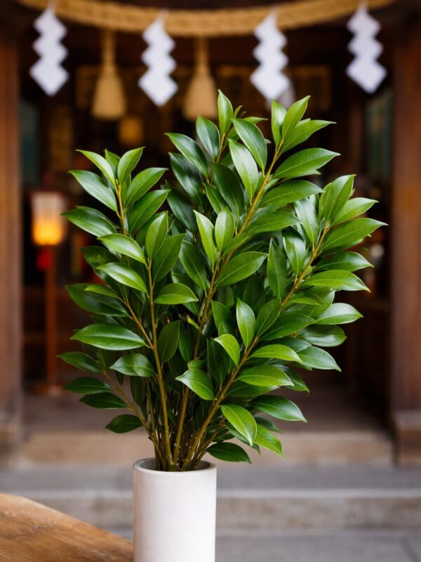 「神式の葬儀マナーを初体験!|玉串奉奠としのび手で学んだこと!」