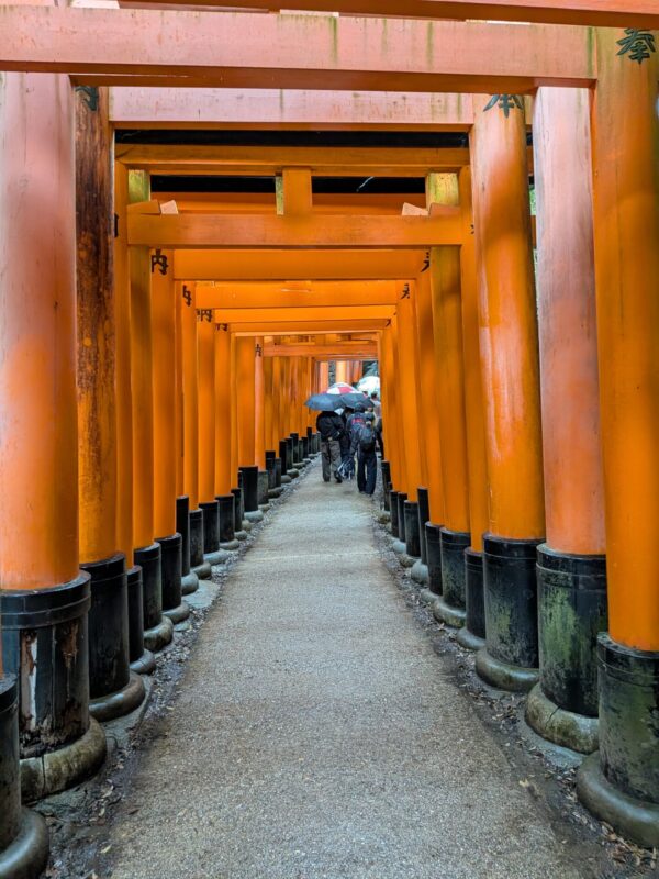 「ワシが作った狐がお色直し!?」