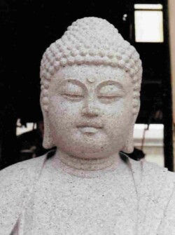 阿弥陀如来(座像)修業時代の作です。