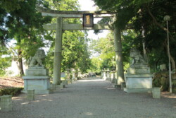 氏子の還暦奉納で作らせてもらいました。
わしの27歳の時の作です。
大きいのでひっくり返すのも大変でした。
原石から買ってうちの工場で粗切りから仕上げまで全部やりました。
 
大きさ(狛犬だけ)
4尺5寸
 
平成5年建之
 
石種
額田中目石   愛知県岡崎市 狛犬 近江八幡市安土町常楽寺 沙沙貴神社 表参道