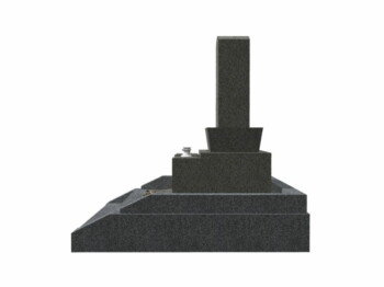 N-S01