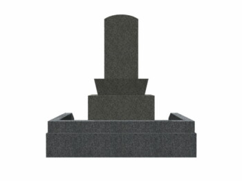 N-S01