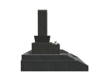 N-S01